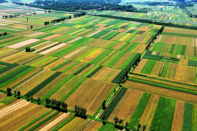 鐘祥土地開發項目